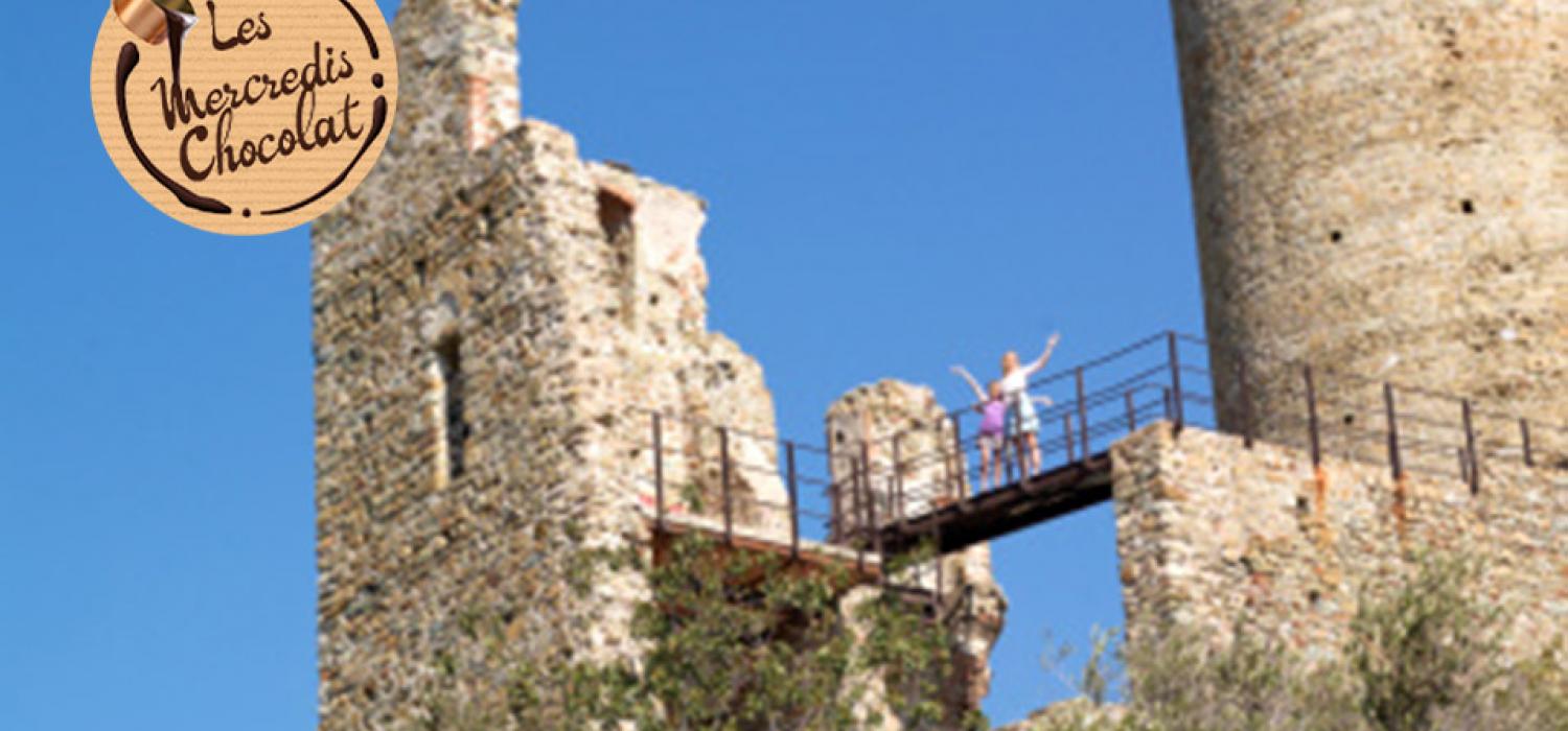 Idées de sorties La visite du château