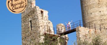 Idées de sorties La visite du château