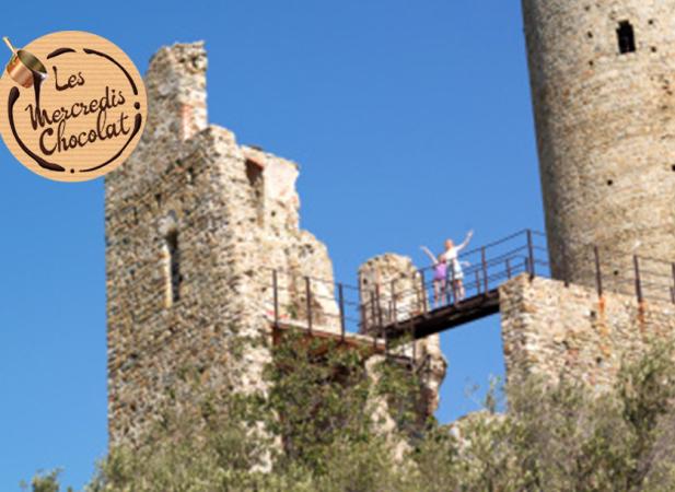 Idées de sorties La visite du château
